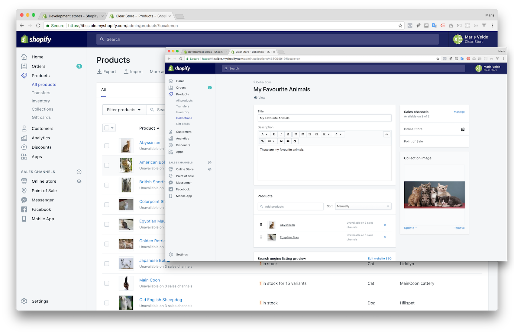 Clone Shopify Store Results